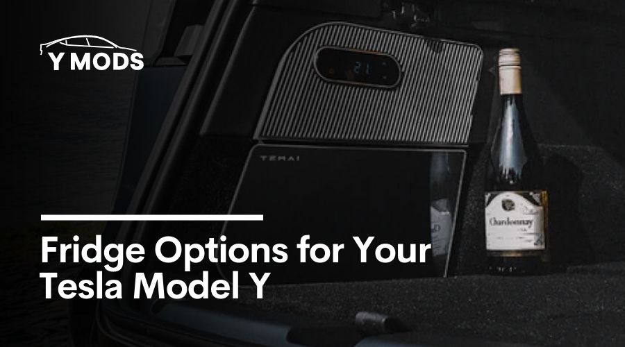 Fridge Options for Your Tesla Model Y